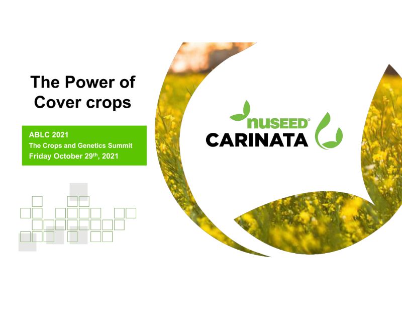 Carinata Cover Crops: The Digest’s 2022 Multi-Slide Guide to Nuseed
