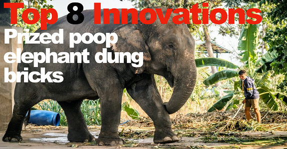 Prized poop elephant dung bricks, Ecovative partnering up with Calvin Klein, Tommy Hilfiger on mushroom-based leather, and more: The Digest’s Top 8 Innovations for the week of January 7th