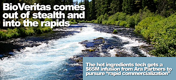 BioVeritas hits the rapids with a $65M injection from Ara Partners and a 2025 date with bio-ingredients destiny