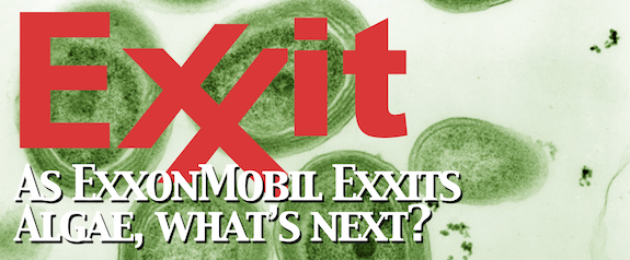 ExxIt: ExxonMobil exits algae, what’s next?