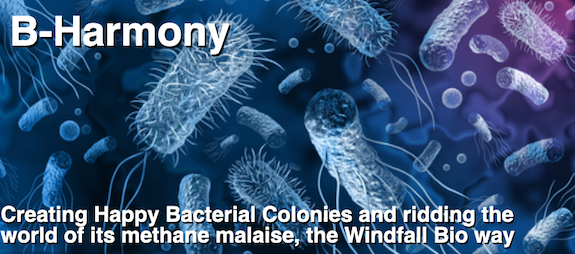 B-Harmony: Creating Happy Bacterial Colonies and ridding the world of its methane malaise, the Windfall Bio way