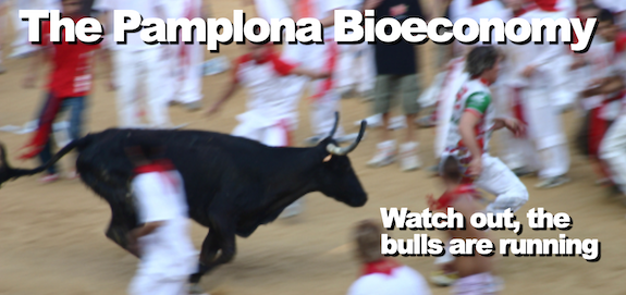 The Pamplona Bioeconomy: watch out, the bulls are running