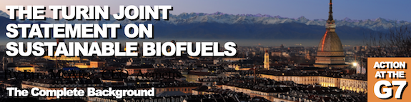 The Turin Joint Statement on Sustainable Biofuels – the background
