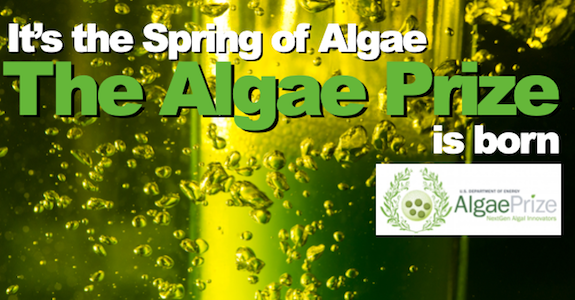 Spring of Algae: The Algae Prize is born