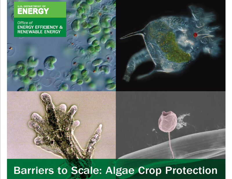 Barriers to Scale for Algae: The Digest’s 2022 Multi-Slide Guide to BETO’s Algae Crop Protection