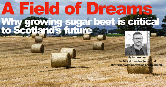 A field of dreams – why growing sugar beet is critical to Scotland’s future