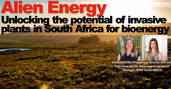 Alien Energy: Unlocking the potential of invasive plants in South Africa