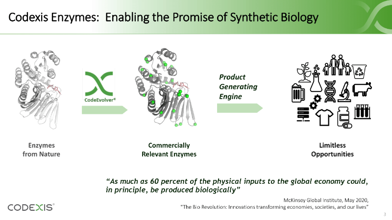 Effective Enzyme Engineering: The Digest’s 2022 Multi-Slide Guide to Codexis