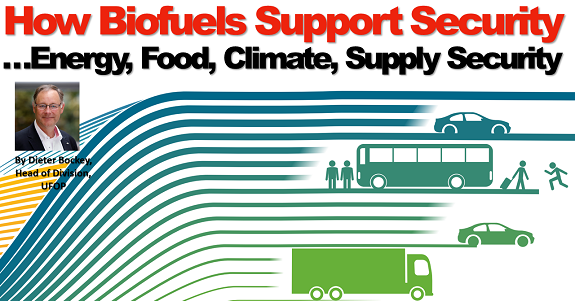 Biofuels as an indispensable component of security of supply