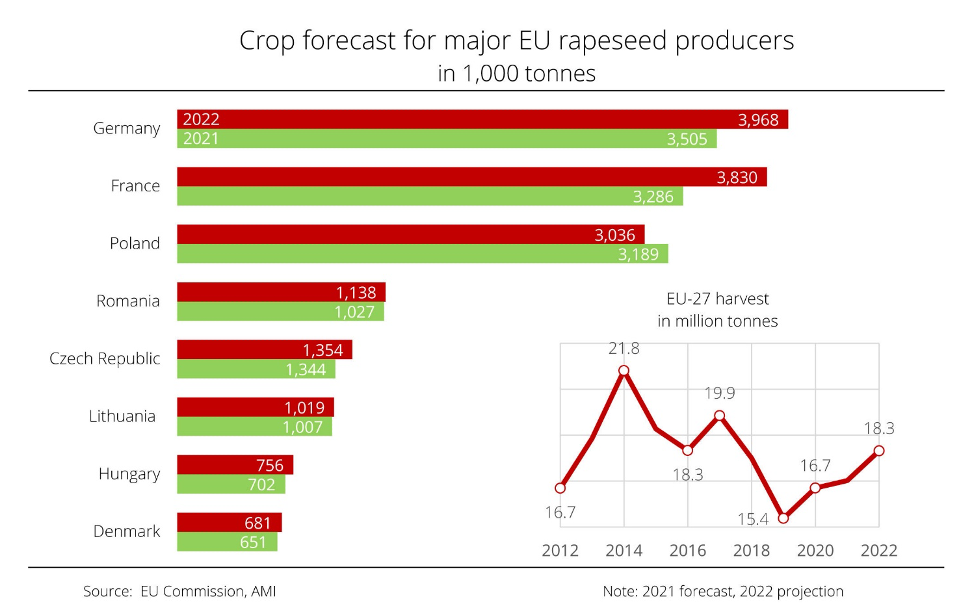 EU rapeseed crop 2022 projected at five-year high
