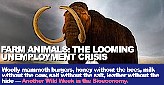 Farm Animals, the Looming Unemployment Crisis: Woolly mammoth burgers, honey without the bees, milk without the cow, leather without the skin