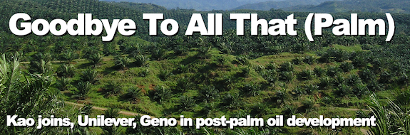 Goodbye To All That (Palm): Kao joins, Unilever, Geno in post-palm oil development