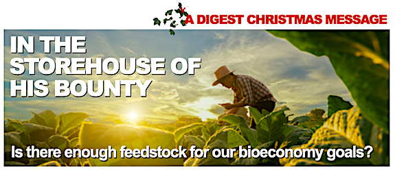 In the Storehouse of his bounty: is there enough feedstock for our bioeconomy goals?