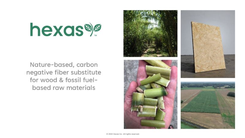 The Digest’s 2022 Multi-Slide Guide to Hexas Biomass