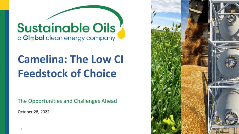 The Digest’s 2023 Multi-Slide Guide to Camelina and Sustainable Oils