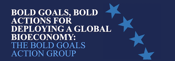 Bold Actions to Accelerate the Bioeconomy: Findings from the Bold Goals Action Group