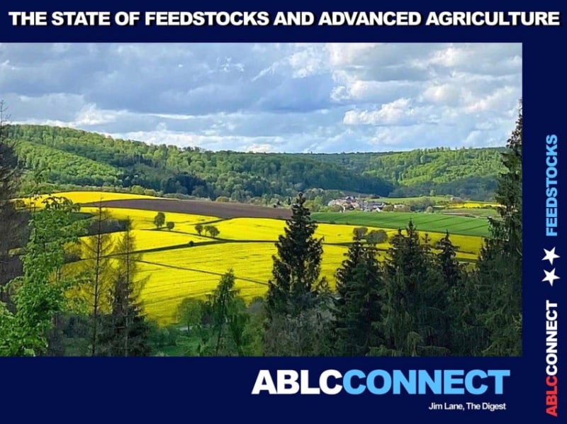 The Digest’s 2024 Multi-Slide Guide to the State of Feedstocks and Advanced Agriculture