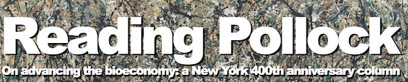 Reading Pollock: on advancing the bioeconomy, a New York City 400th anniversary column