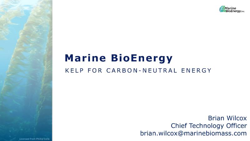 The Digest’s 2024 Multi-Slide Guide to Marine BioEnergy